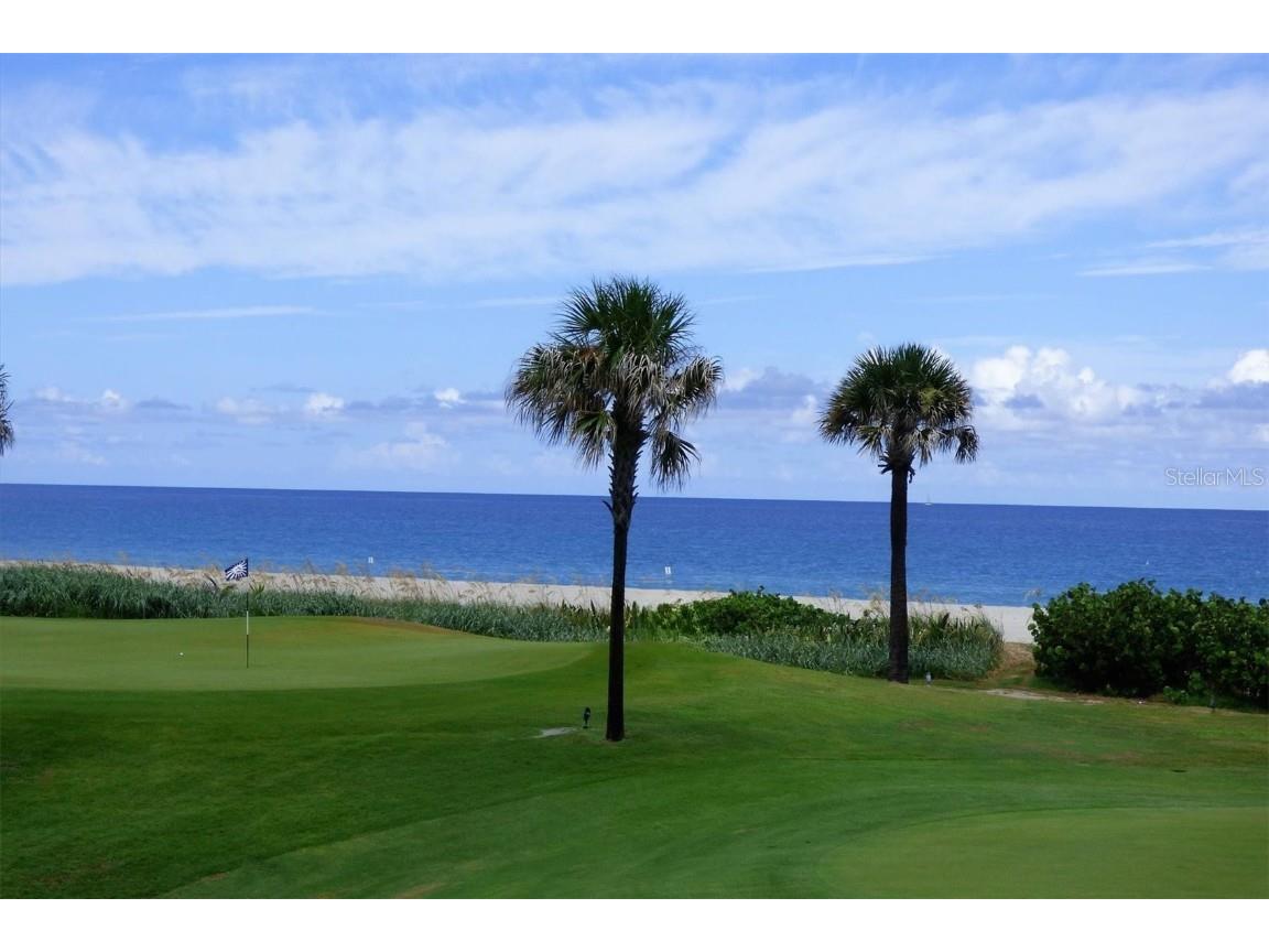 303 11th Avenue E Palmetto FL 34221 - MANATEE RIVER C7509000 image58