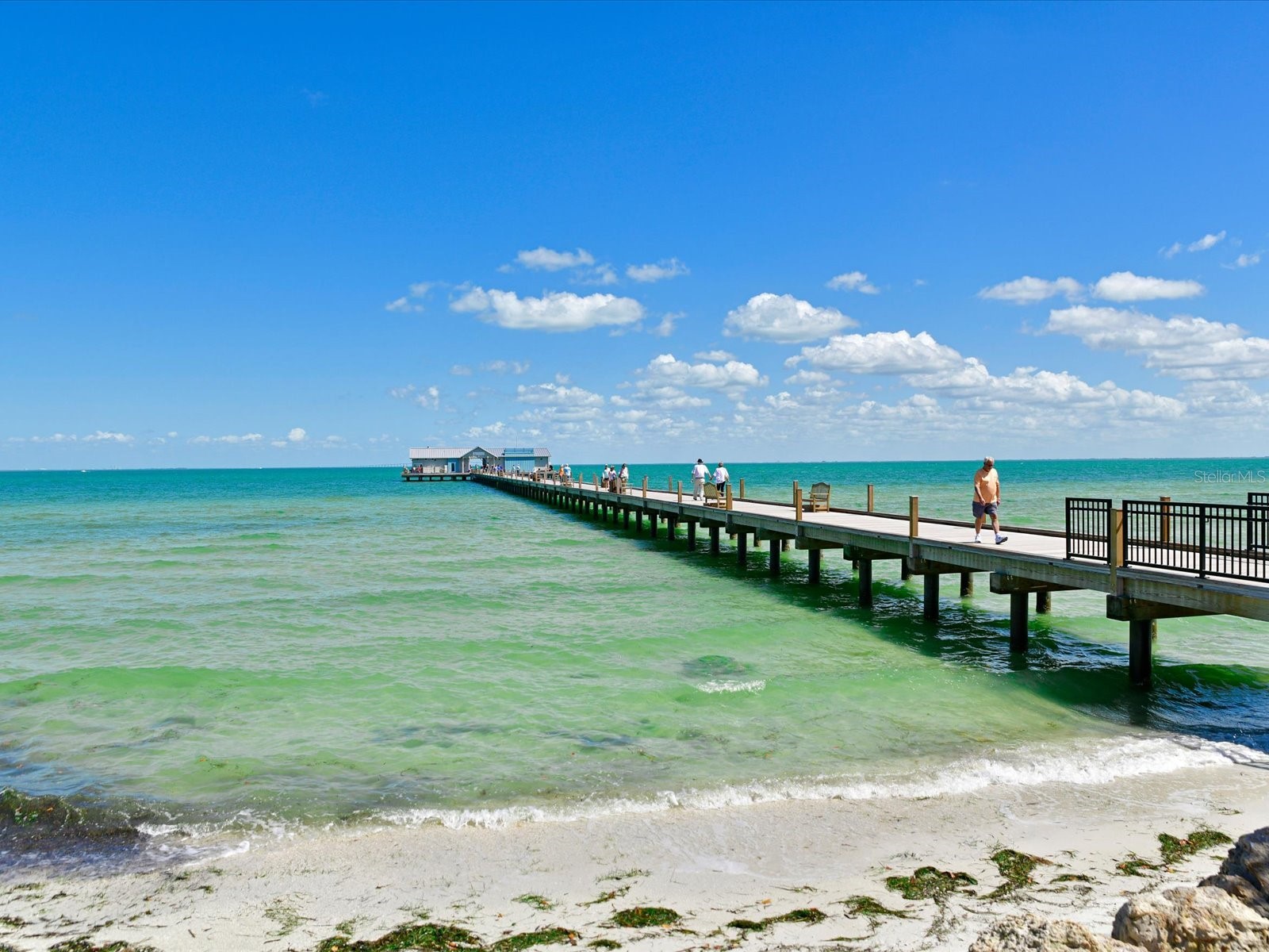 303 55th Street Holmes Beach FL 34217 A4685639 image60