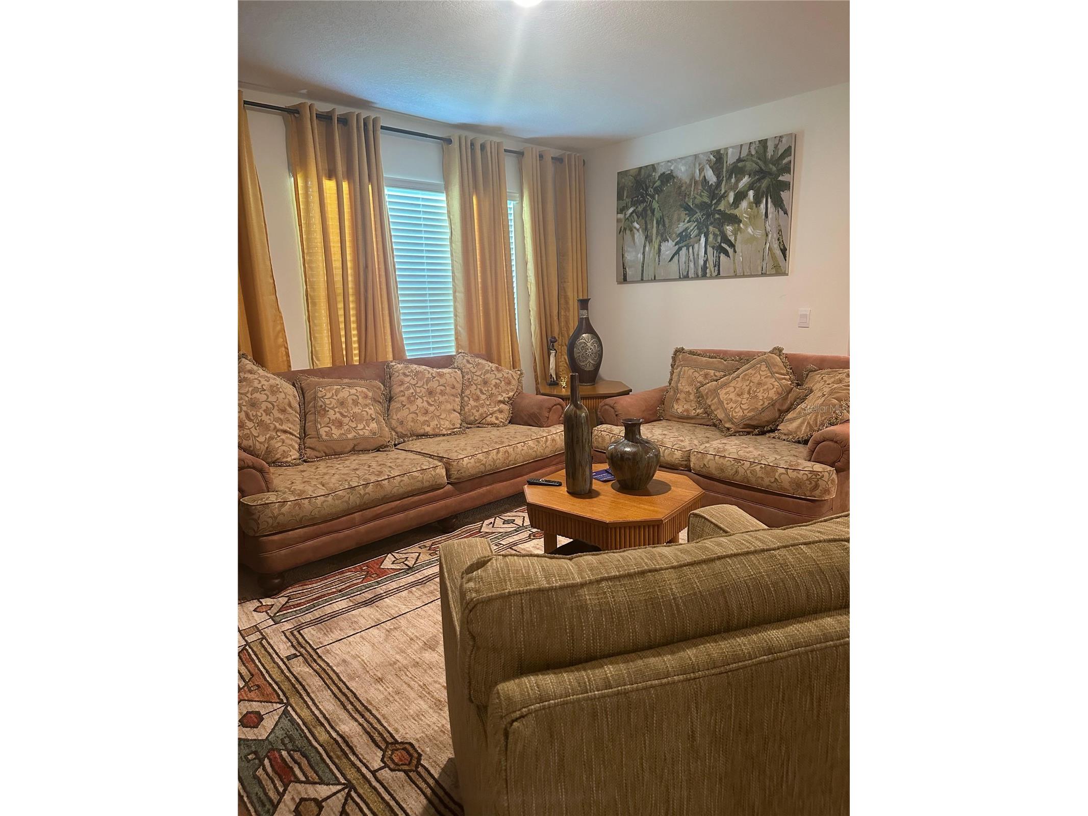 303 Alencon Way Kissimmee FL 34759 S5144839 image3