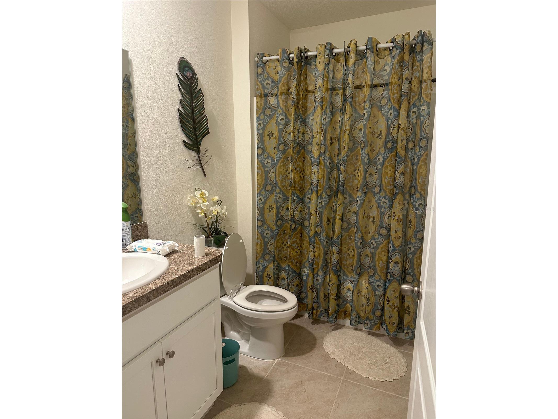 303 Alencon Way Kissimmee FL 34759 S5144839 image9