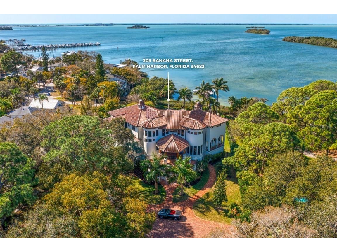 303 Banana Street Palm Harbor FL 34683 - GULF OF MEXICO U8207426 image1