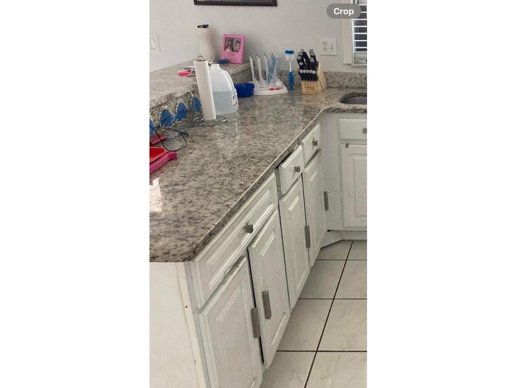 303 Cocoa Court Kissimmee FL 34758 O6334581 image13