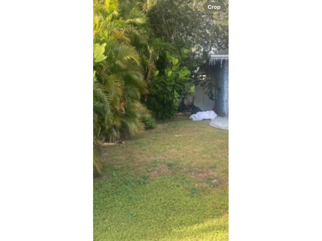 303 Cocoa Court Kissimmee FL 34758 O6334581 image4