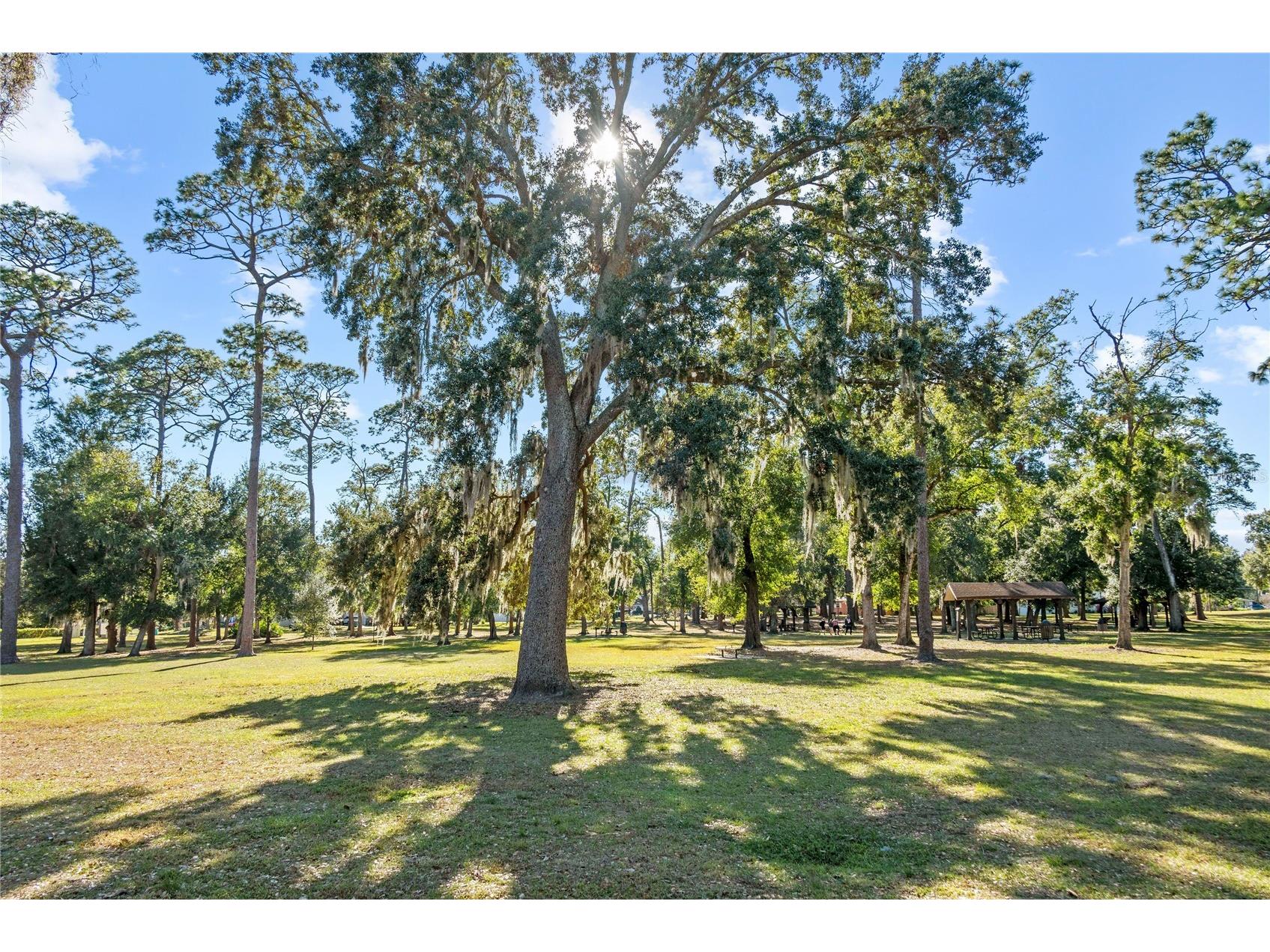 303 E Jersey Street Orlando FL 32806 O6414987 image49