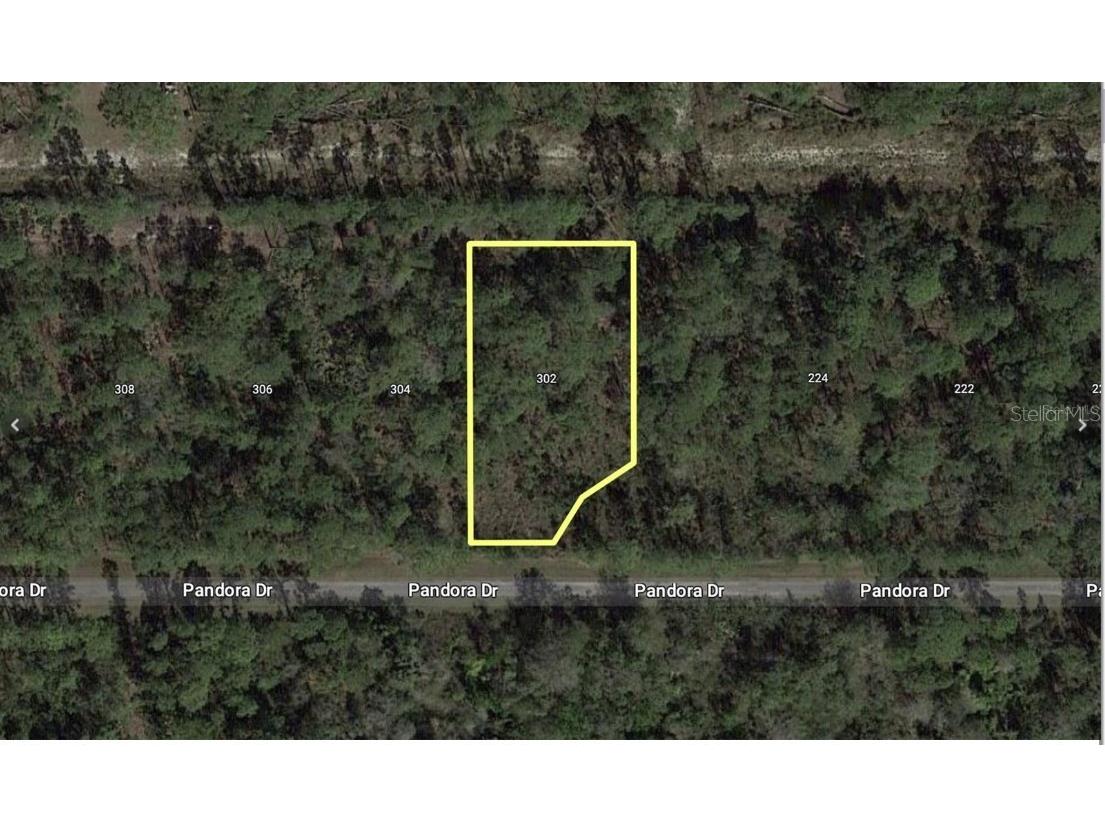 303 Japonica Avenue Indian Lake Estates FL 33855 - LAKE WALK-IN-WATER TB8415425 image3