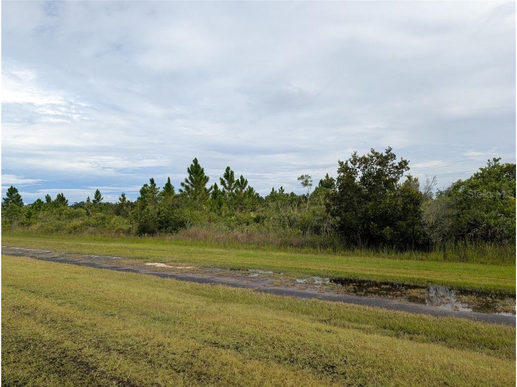 303 Japonica Avenue Indian Lake Estates FL 33855 - LAKE WALK-IN-WATER TB8415425 image5