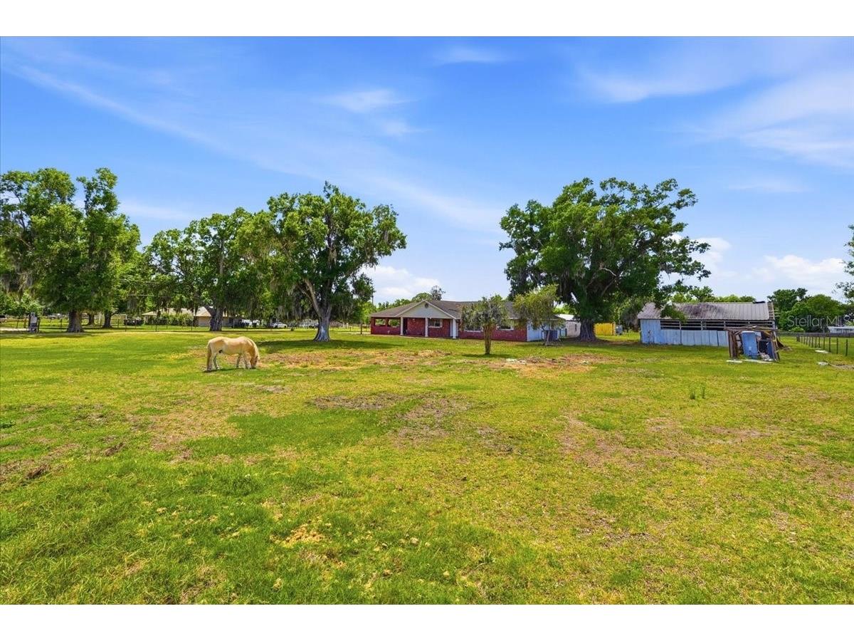 303 Karppe Road Plant City FL 33567 L4961521 image30