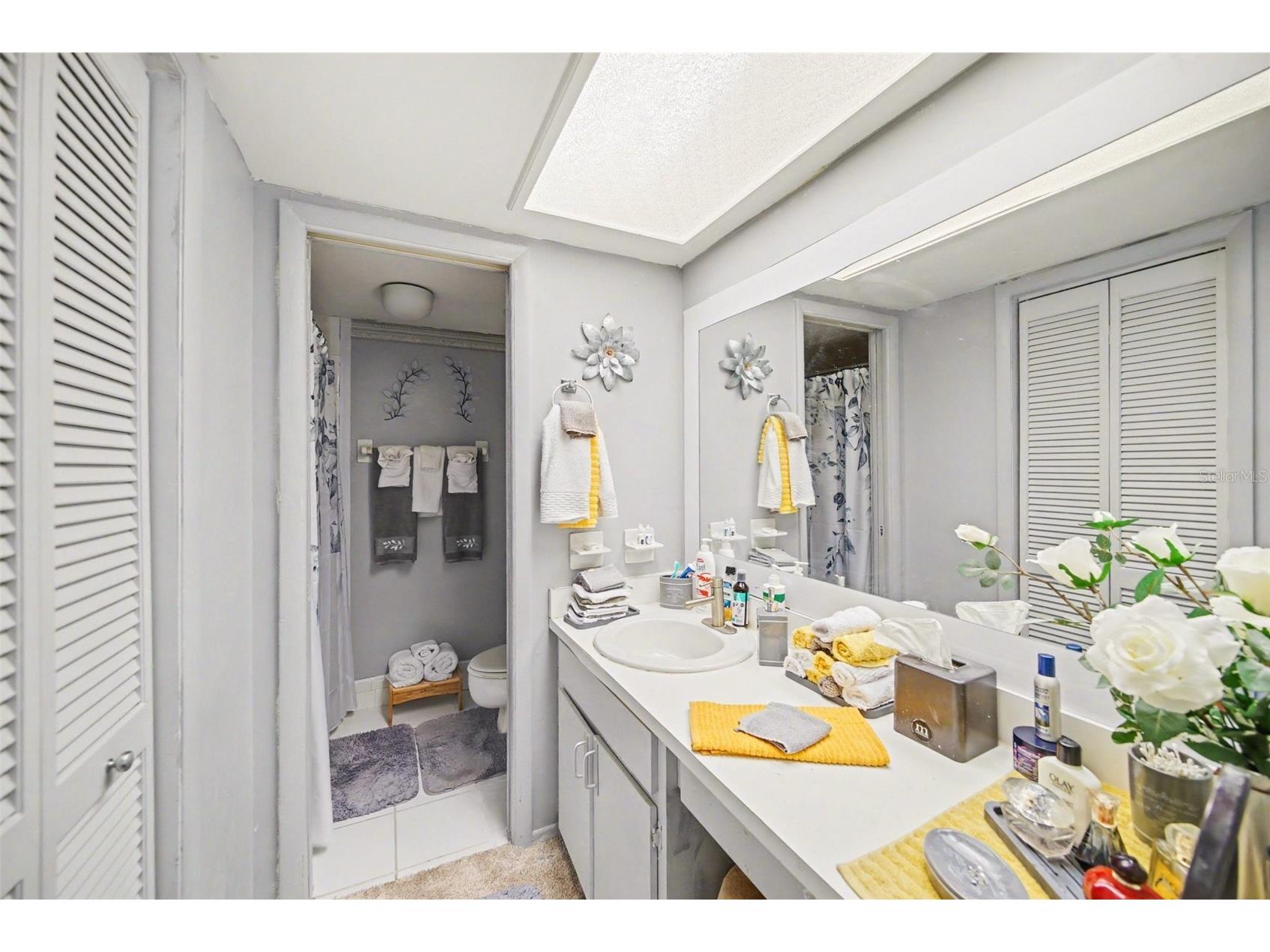 303 Martha Lane #303 Oldsmar FL 34677 TB8485863 image22