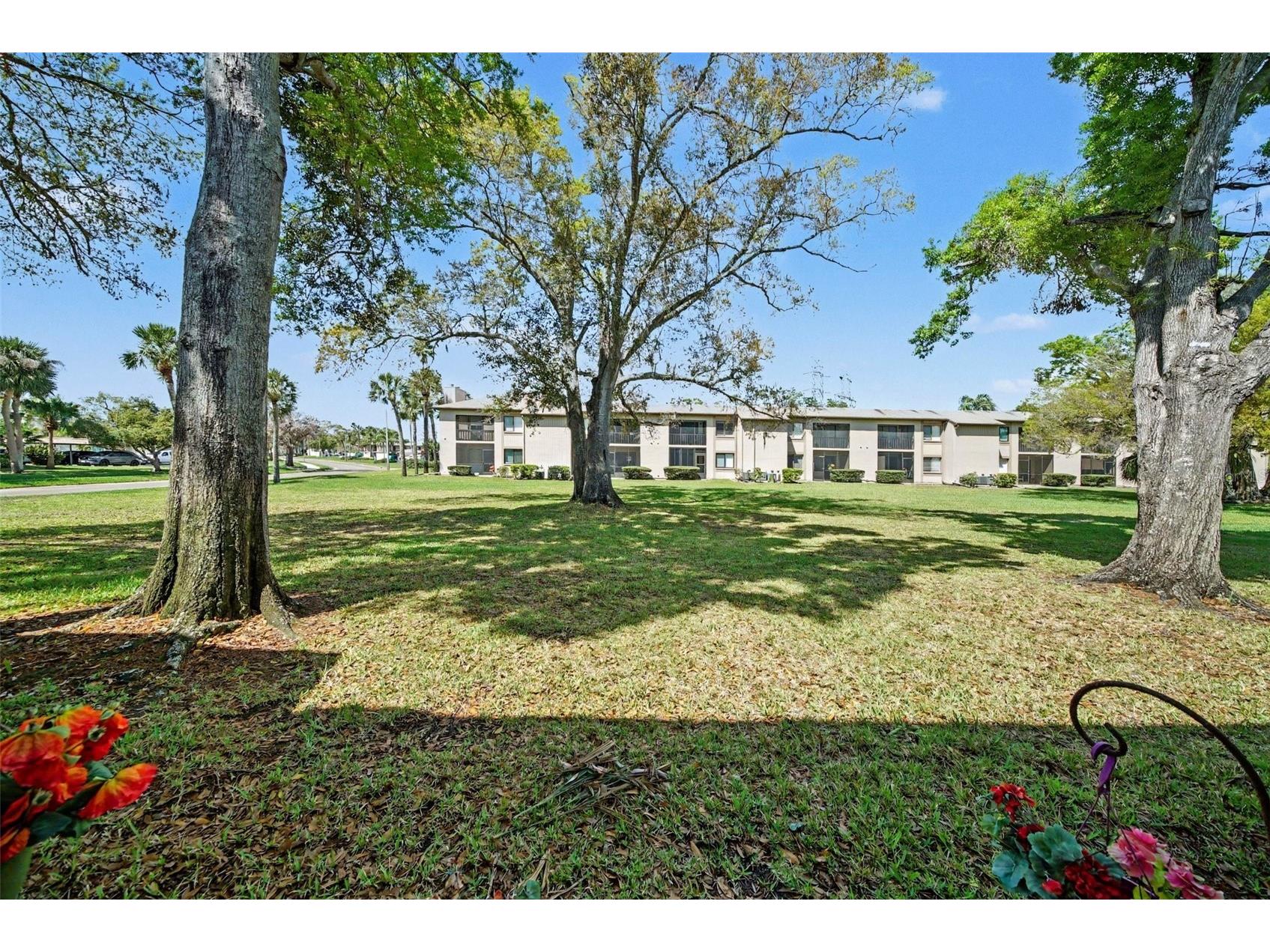 303 Martha Lane #303 Oldsmar FL 34677 TB8485863 image27