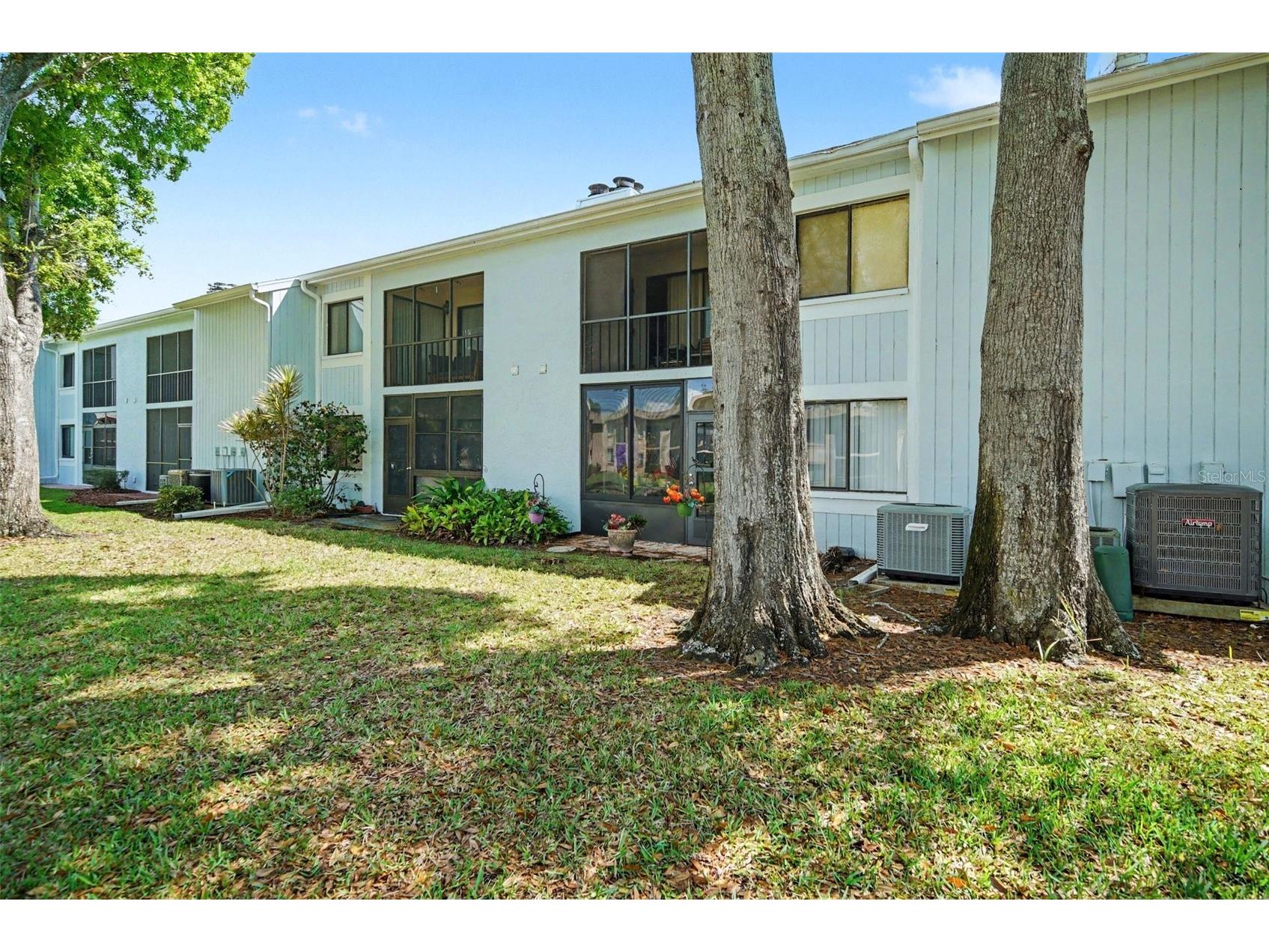303 Martha Lane #303 Oldsmar FL 34677 TB8485863 image29
