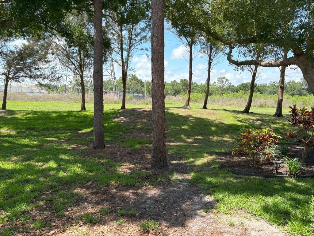 303 Meadow Lane Oldsmar FL 34677 TB8388789 image12