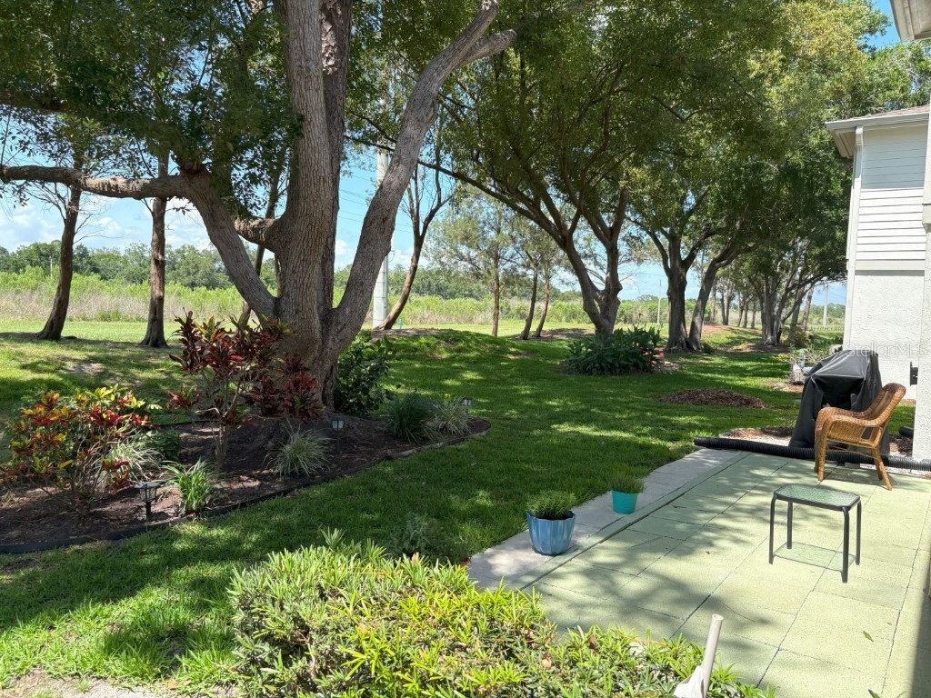 303 Meadow Lane Oldsmar FL 34677 TB8388789 image13