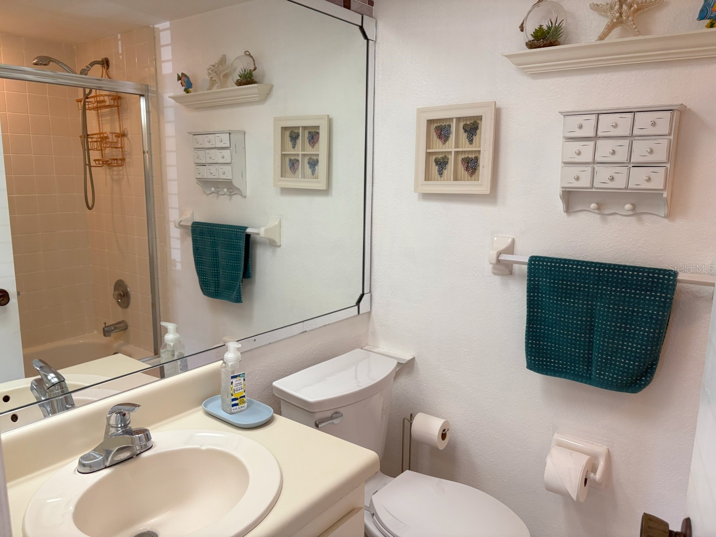303 Meadow Lane Oldsmar FL 34677 TB8497109 image17