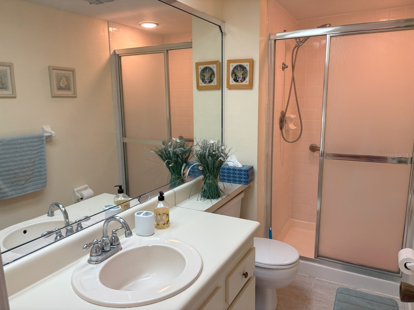303 Meadow Lane Oldsmar FL 34677 TB8497109 image8