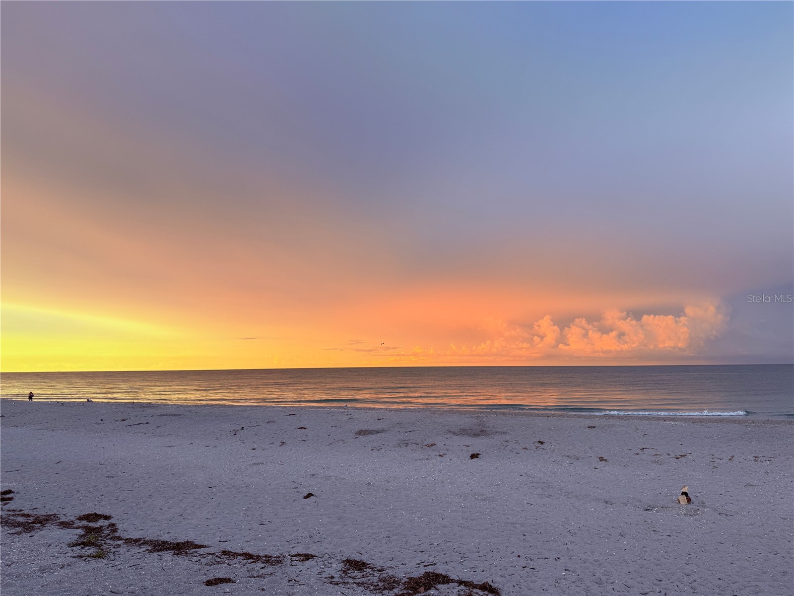 303 Morningside Drive Palm Harbor FL 34683 A4679780 image12