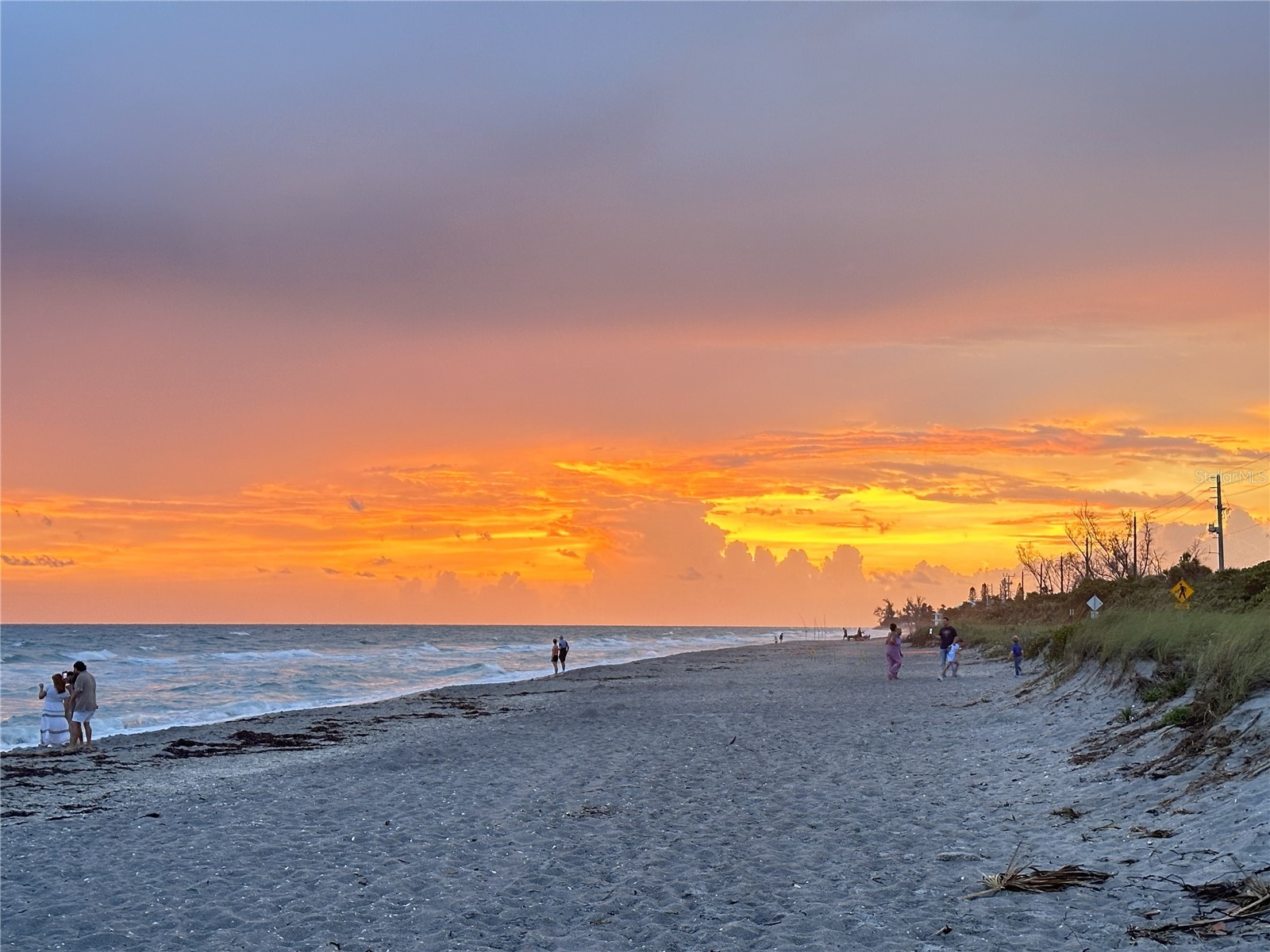 303 Morningside Drive Palm Harbor FL 34683 A4679780 image15