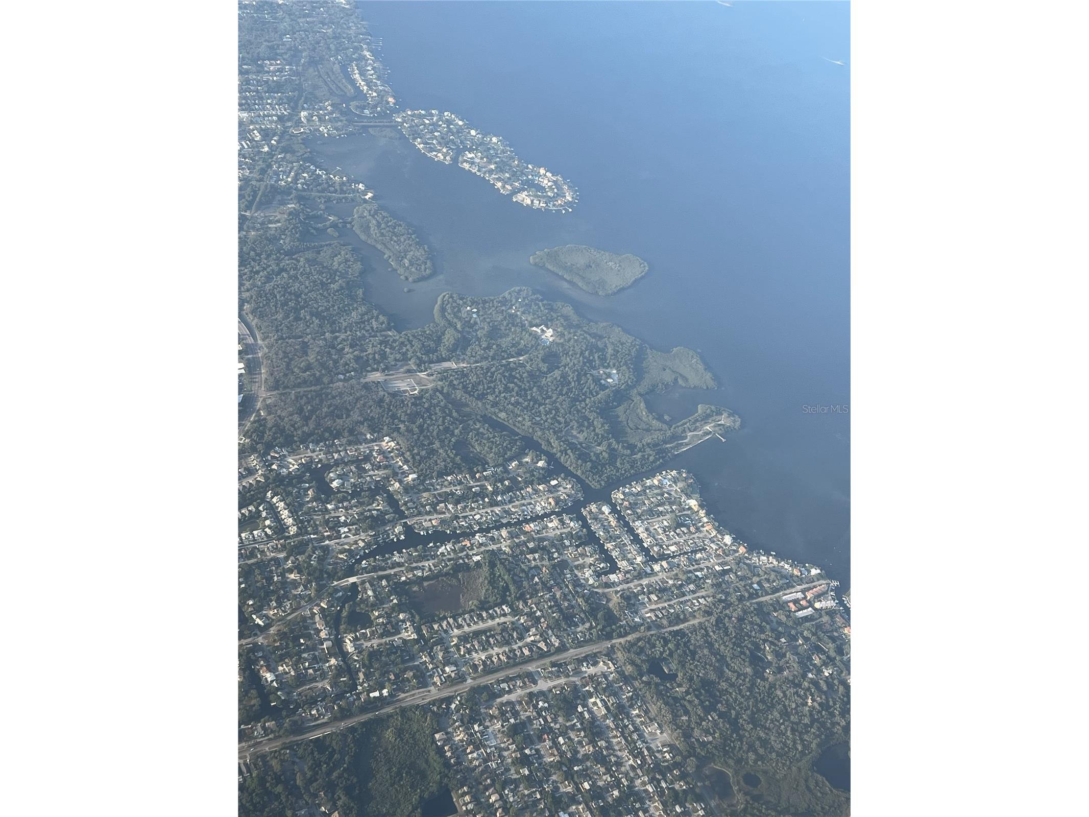 303 Morningside Drive Palm Harbor FL 34683 A4679780 image16