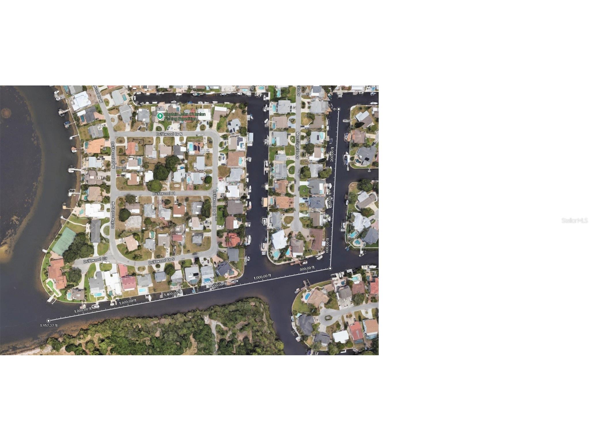 303 Morningside Drive Palm Harbor FL 34683 A4679780 image4