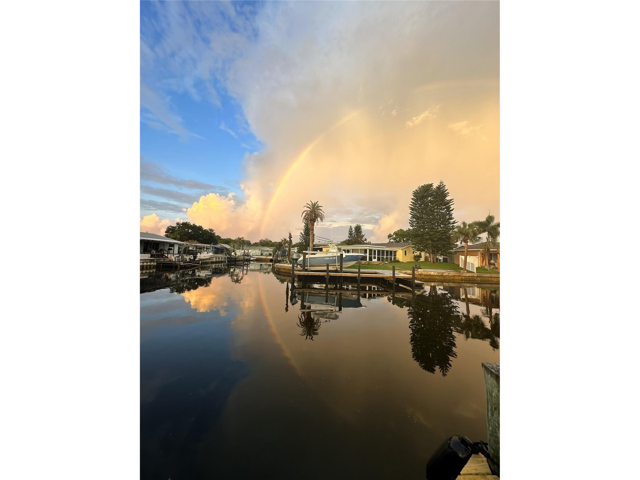 303 Morningside Drive Palm Harbor FL 34683 A4679780 image6