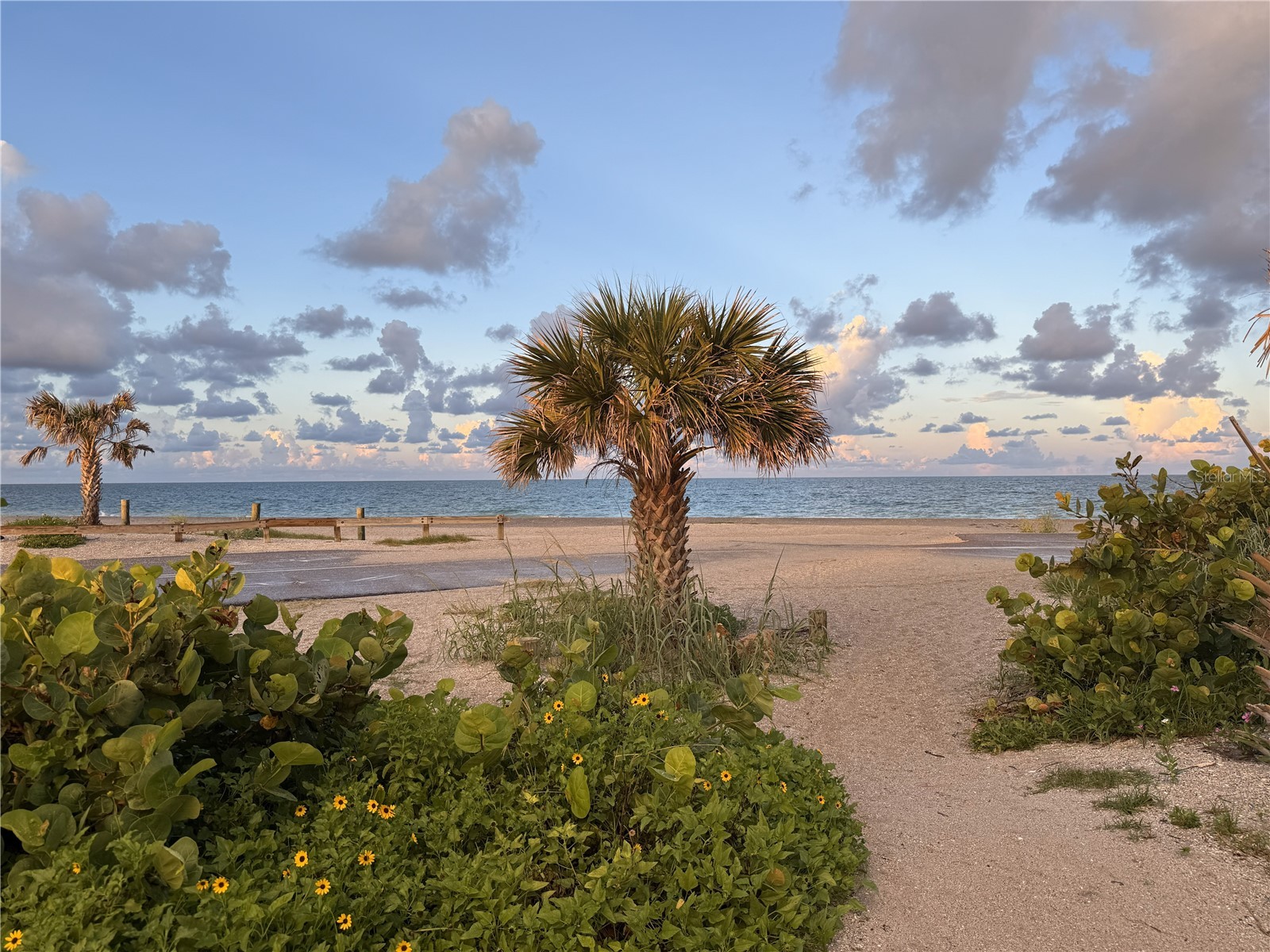 303 Morningside Drive Palm Harbor FL 34683 A4679780 image8