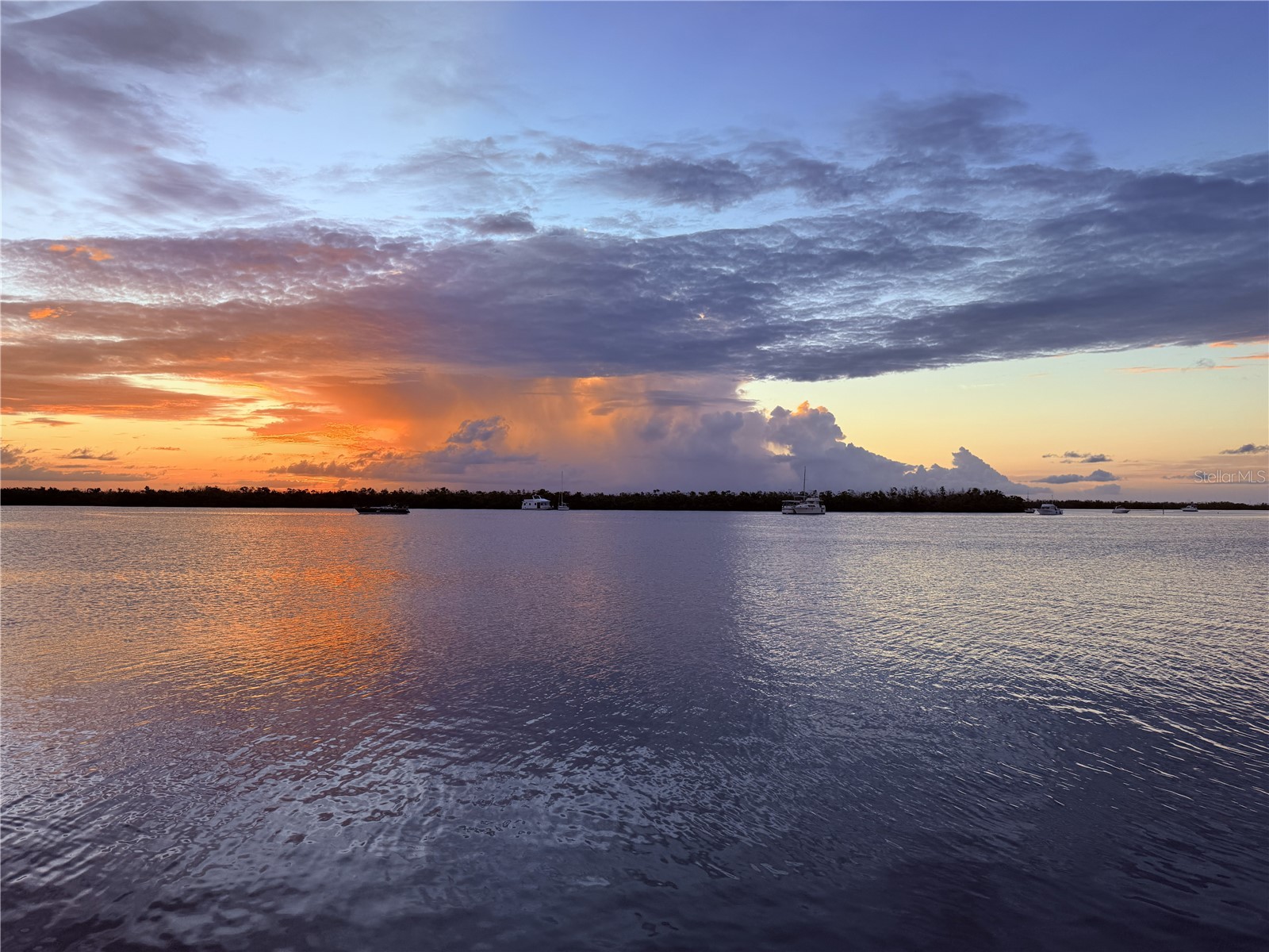 303 Morningside Drive Palm Harbor FL 34683 A4679780 image9
