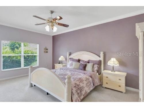 303 New River Drive Kissimmee FL 34759 O6234034 image16