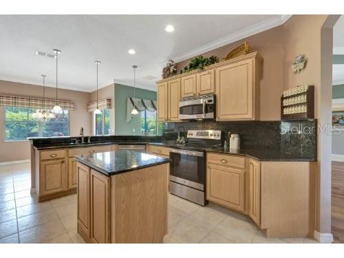 303 New River Drive Kissimmee FL 34759 O6234034 image9