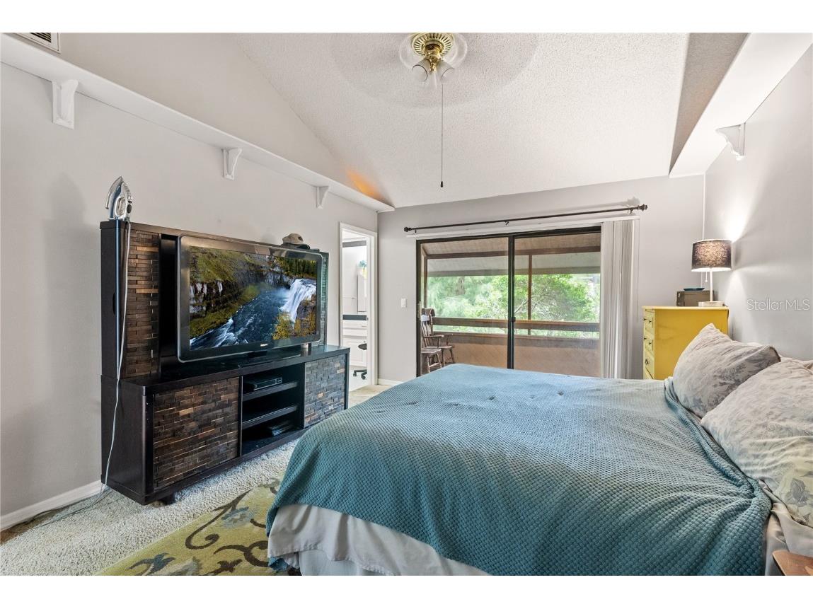 303 Old Mill Pond Road #303 Palm Harbor FL 34683 W7868256 image24