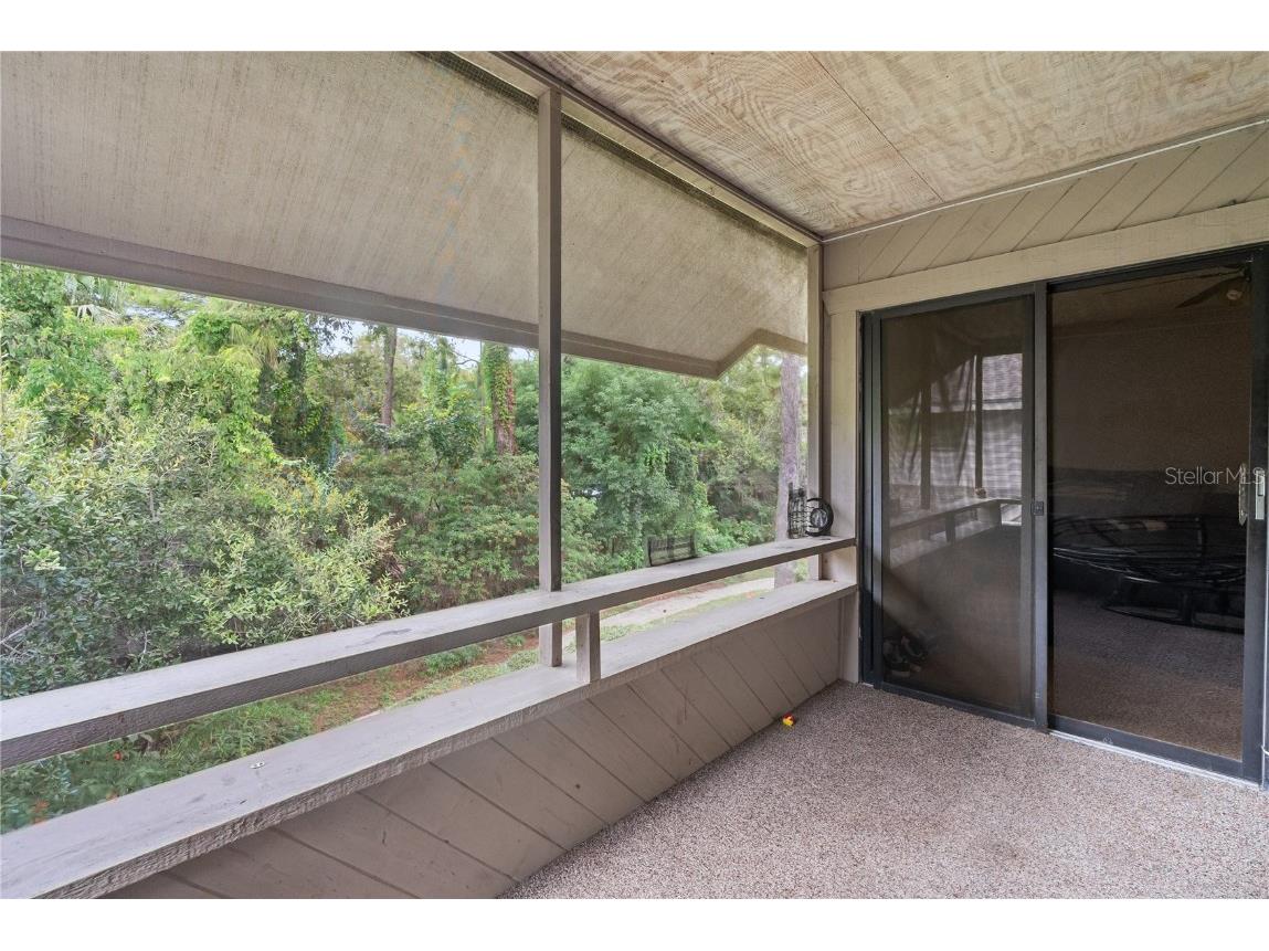 303 Old Mill Pond Road #303 Palm Harbor FL 34683 W7868256 image32