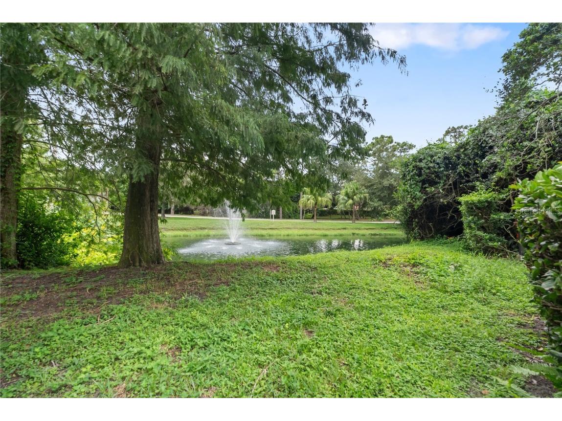 303 Old Mill Pond Road #303 Palm Harbor FL 34683 W7868256 image38