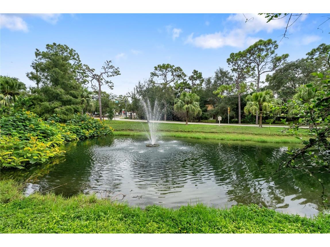 303 Old Mill Pond Road #303 Palm Harbor FL 34683 W7868256 image40