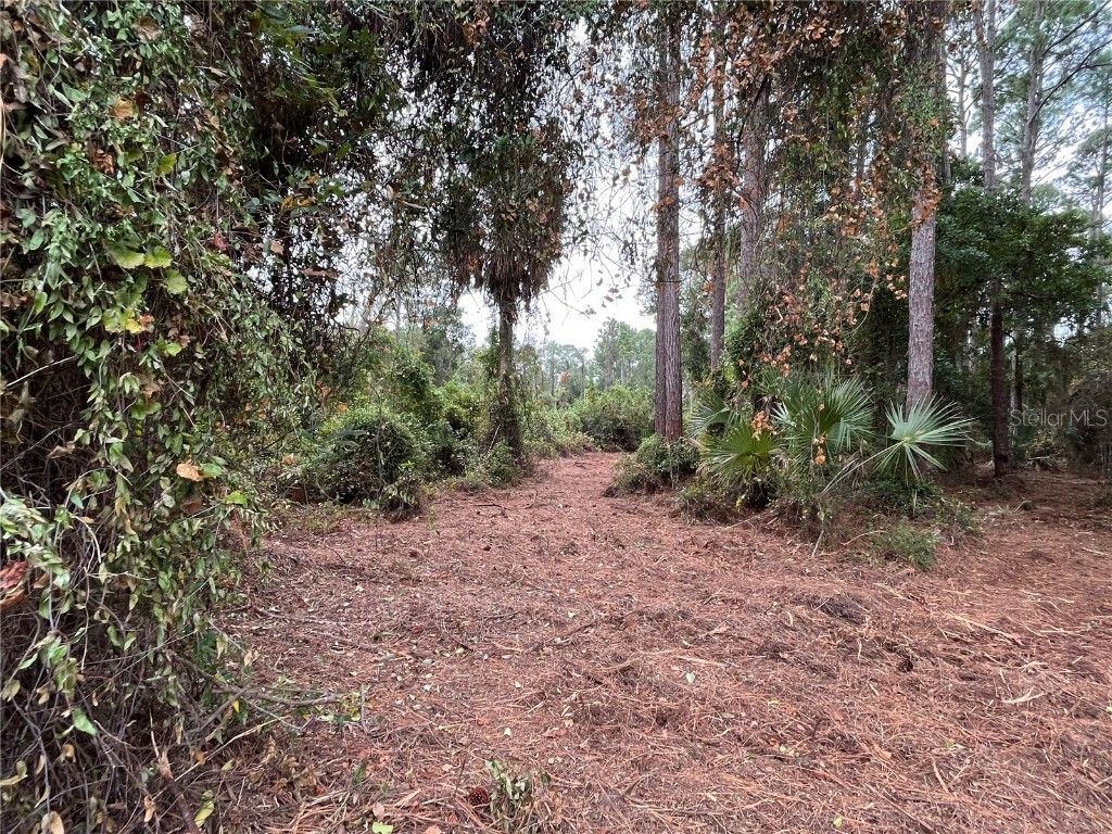 303 Paradise Boulevard Georgetown FL 32139 OK223369 image1