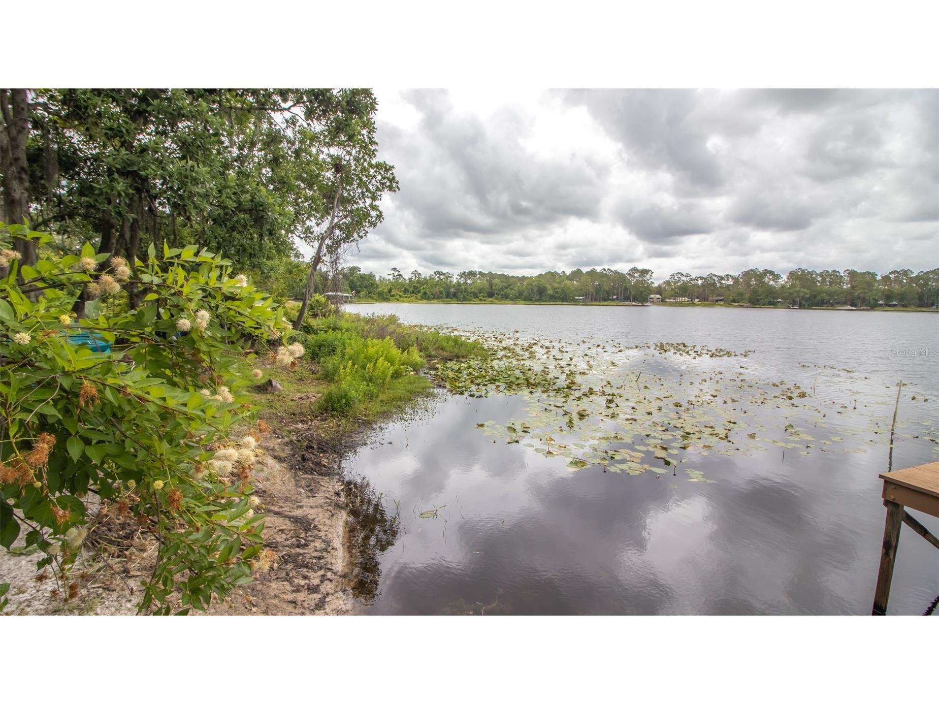 303 Riley Lake Drive Hawthorne FL 32640 GC541161 image71