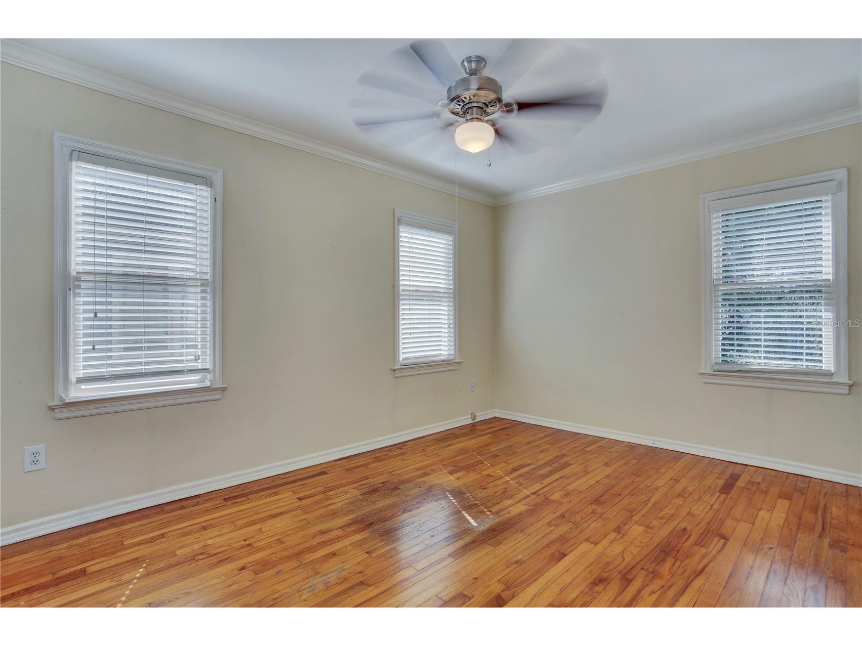 303 S Audubon Avenue Tampa FL 33609 TB8498054 image15