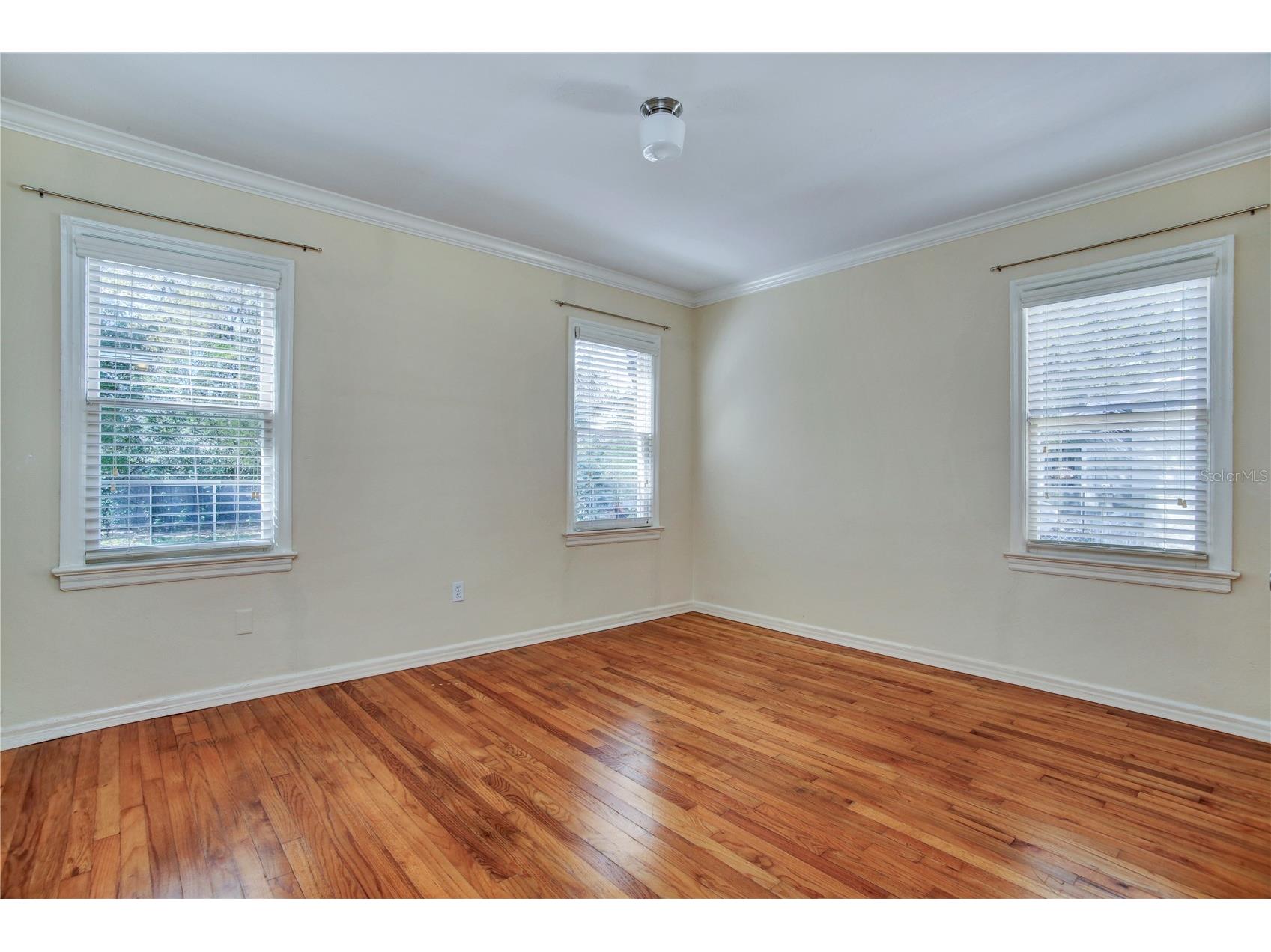 303 S Audubon Avenue Tampa FL 33609 TB8498054 image18