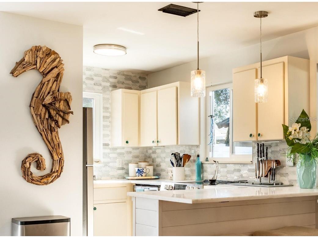 303 S Pine Street New Smyrna Beach FL 32169 NS1086677 image14