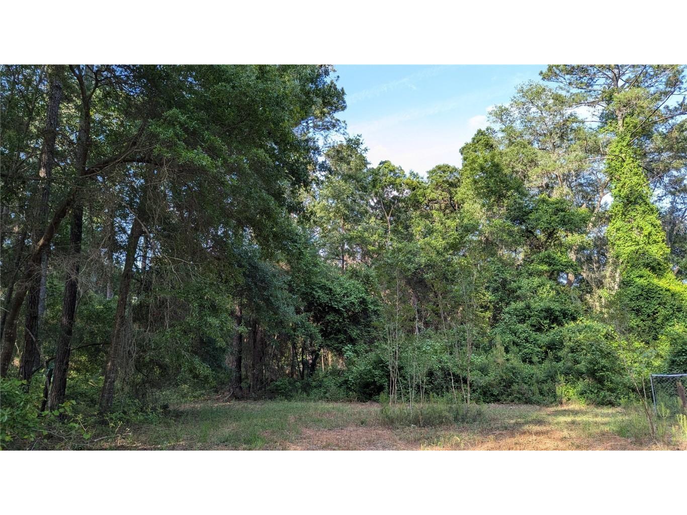 303 SE 130th Terrace Gainesville FL 32641 GC530296 image1