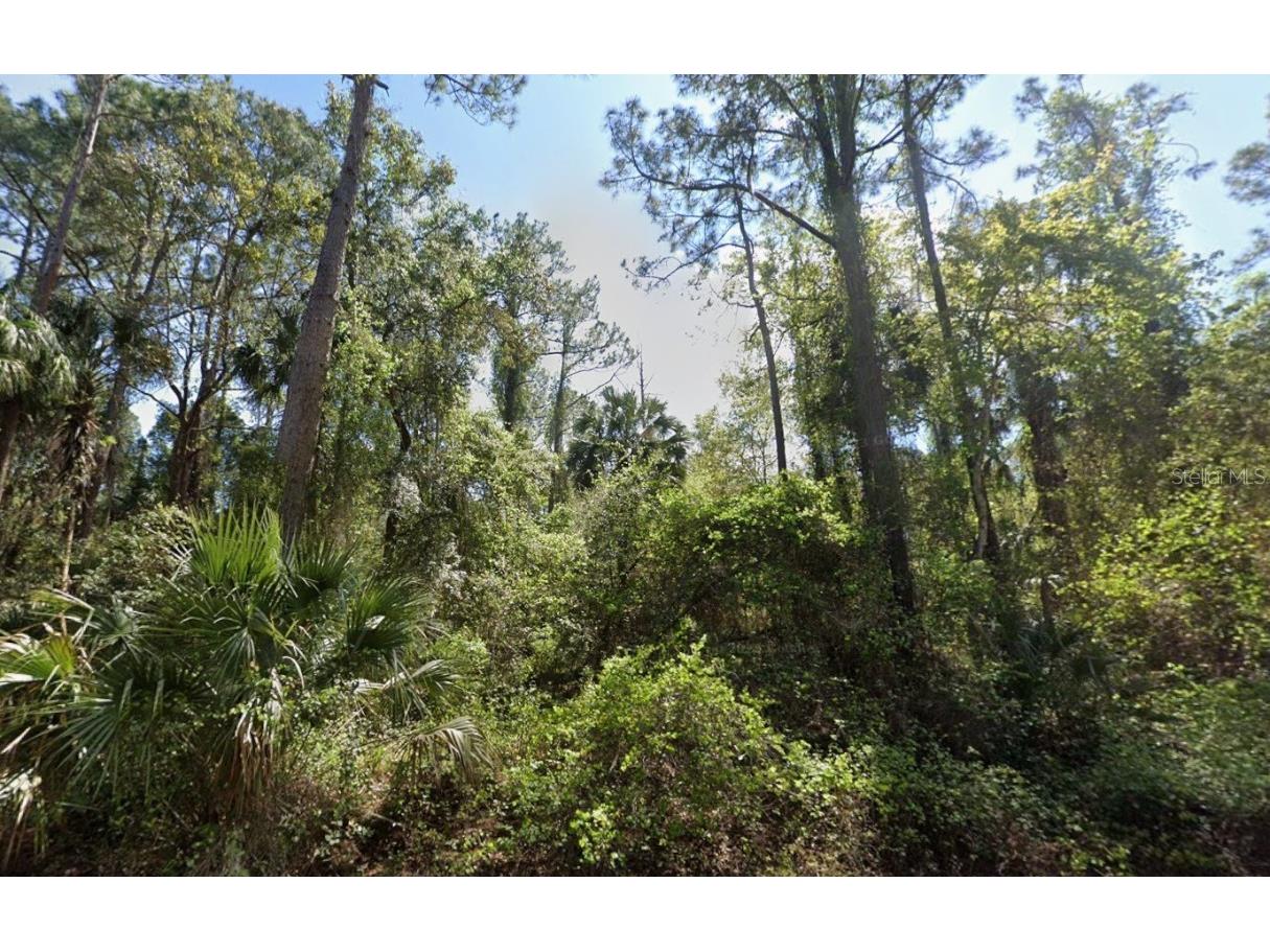 303 Siesta Drive Georgetown FL 32139 OK225645 image1