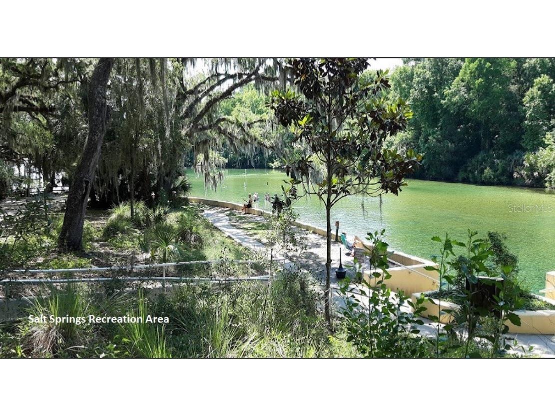 303 Siesta Drive Georgetown FL 32139 OK225645 image4