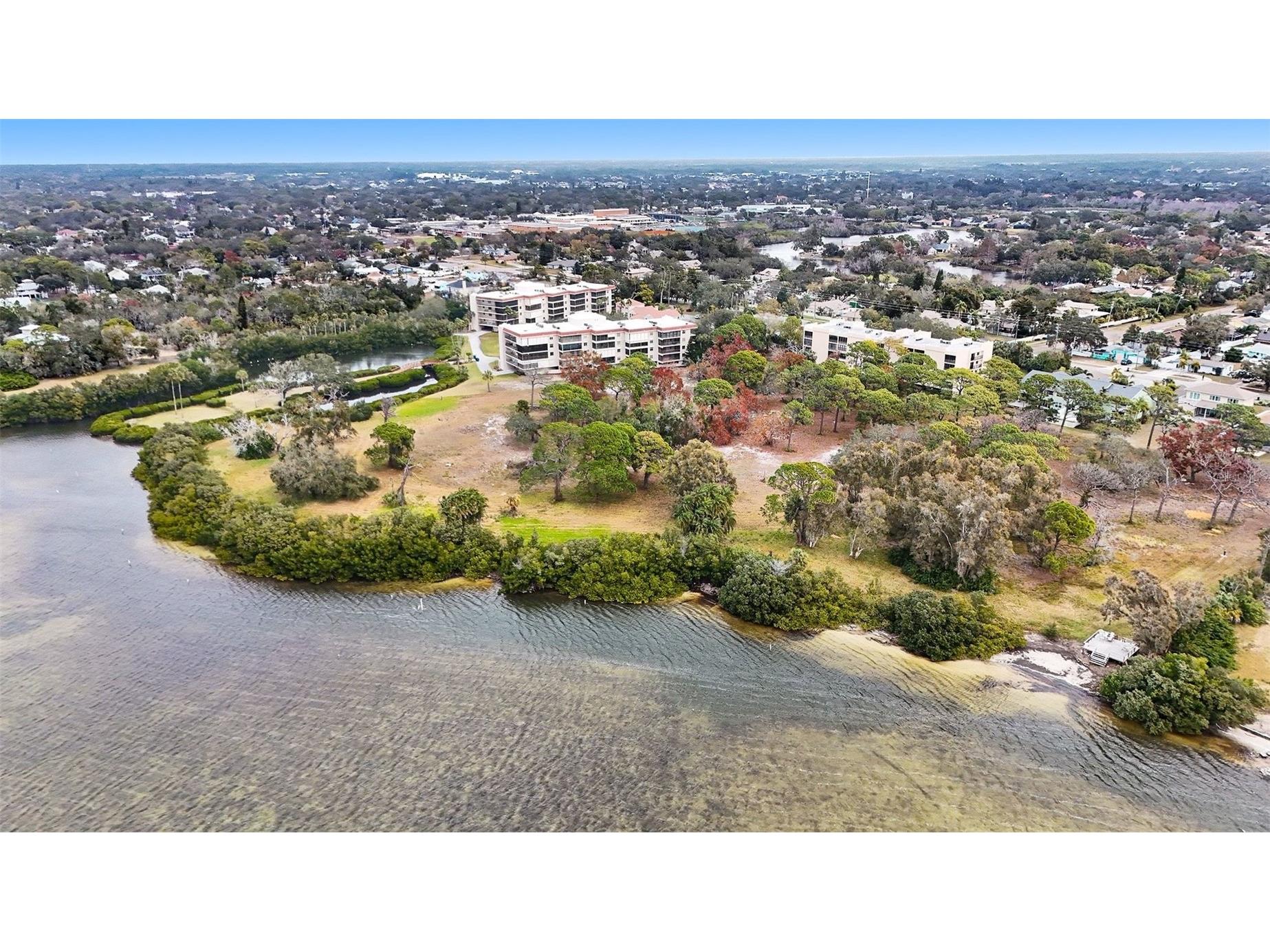 303 Tarpon Point Tarpon Springs FL 34689 TB8467673 image1