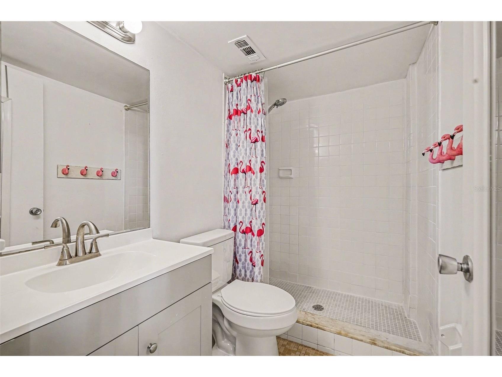 303 Tarpon Point Tarpon Springs FL 34689 TB8467673 image13