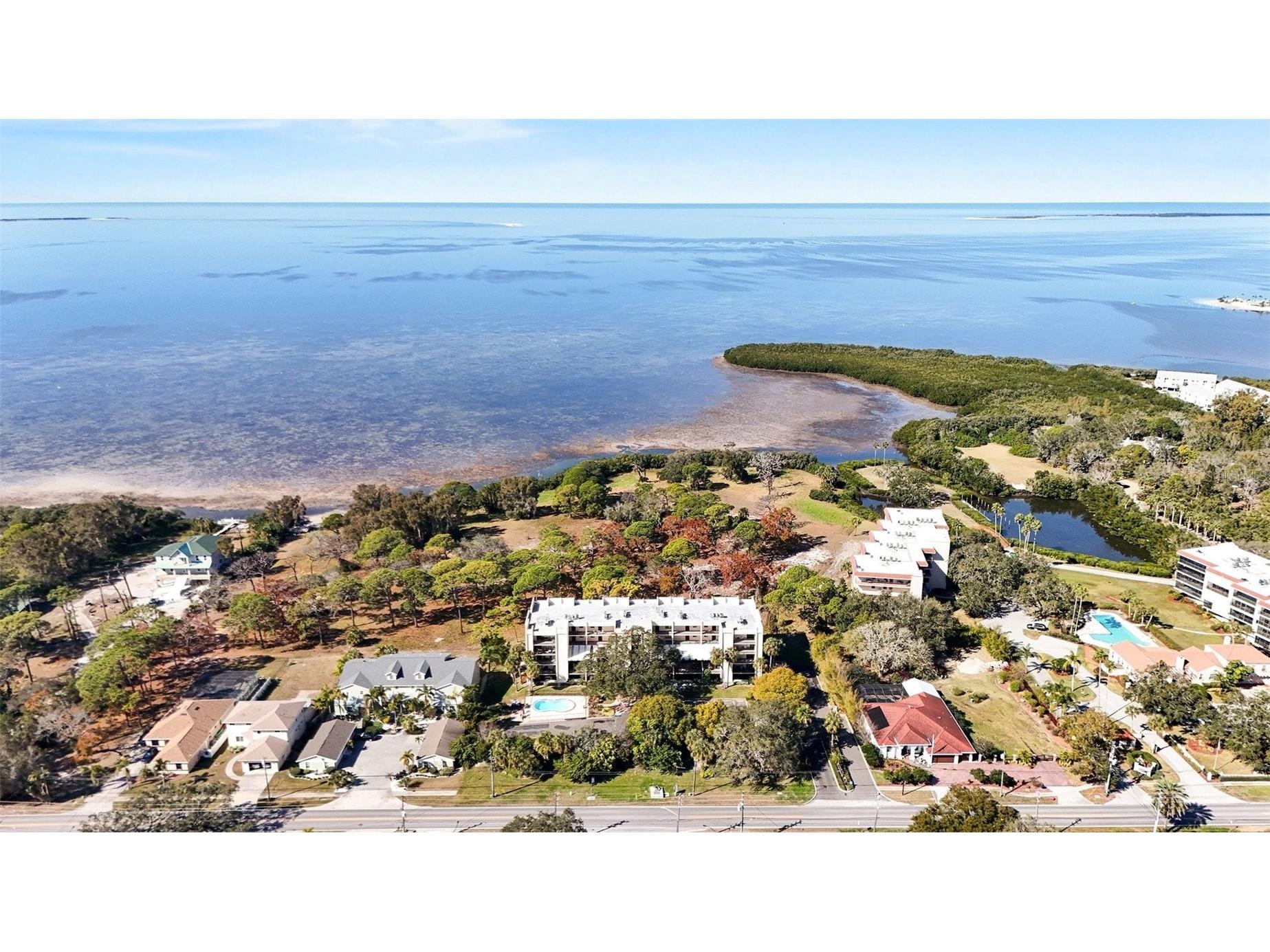 303 Tarpon Point Tarpon Springs FL 34689 TB8467673 image18