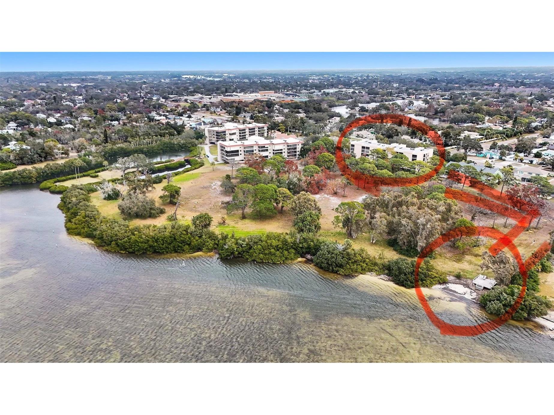 303 Tarpon Point Tarpon Springs FL 34689 TB8467673 image2