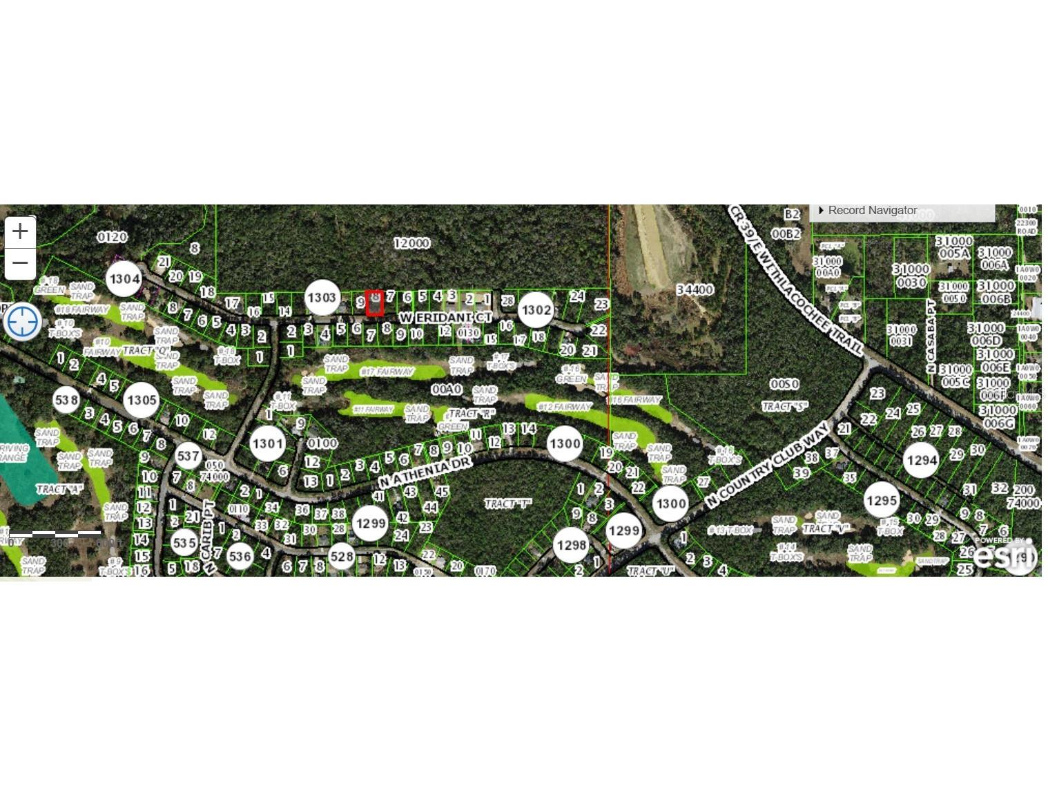 303 W Eridani Court Citrus Springs FL 34434 C7515181 image4