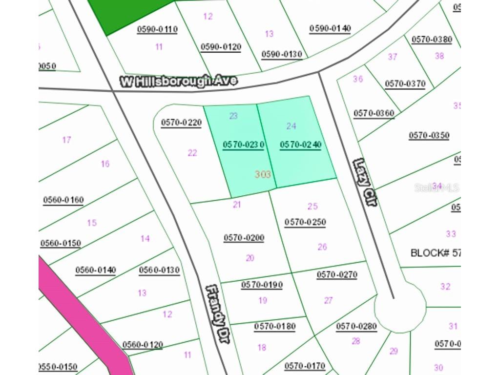 303 W Hillsborough Avenue Florahome FL 32140 OM678712 image2