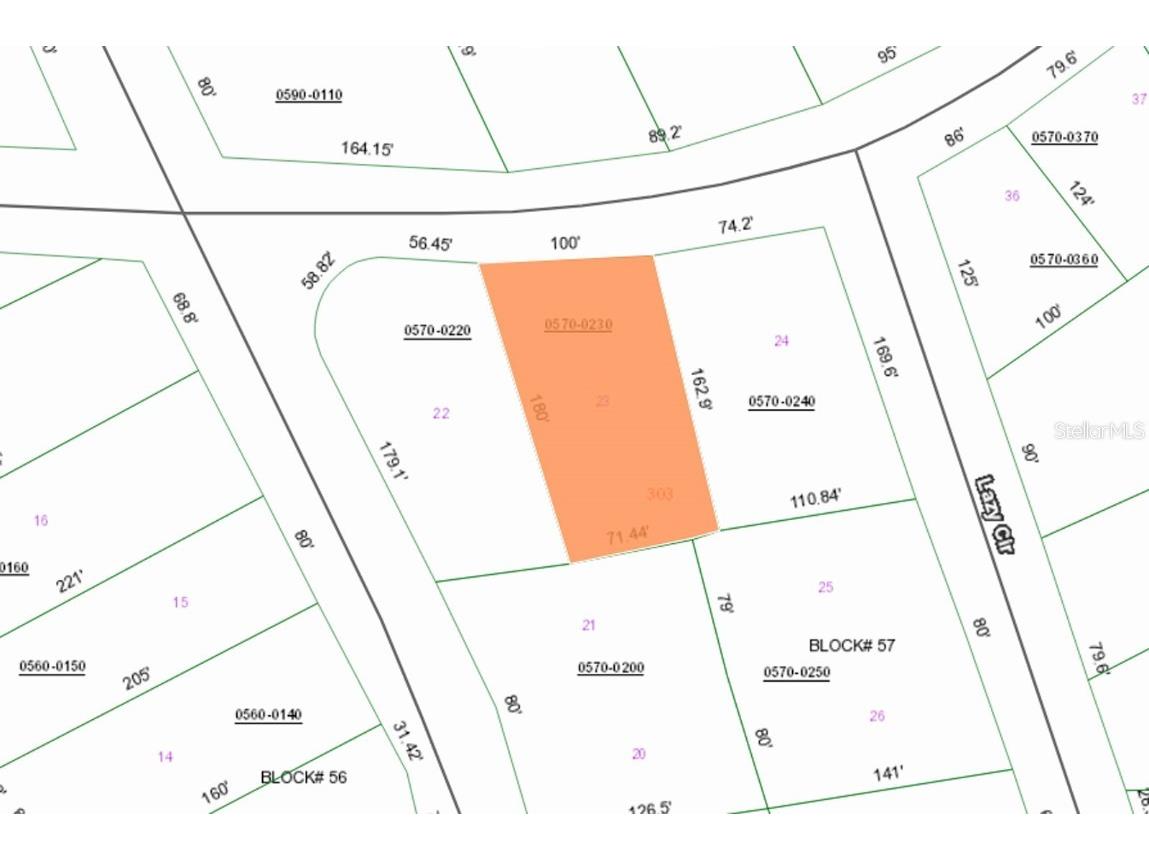 303 W Hillsborough Avenue Florahome FL 32140 OM678712 image3