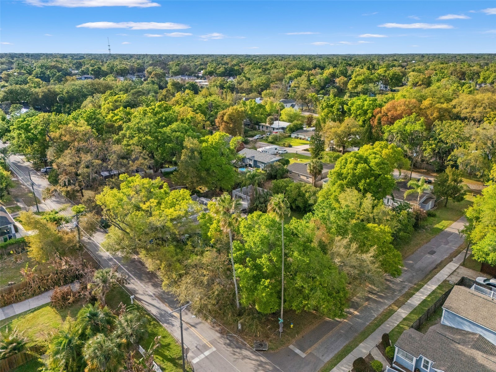 303 W Jean Street Tampa FL 33604 TB8491126 image4