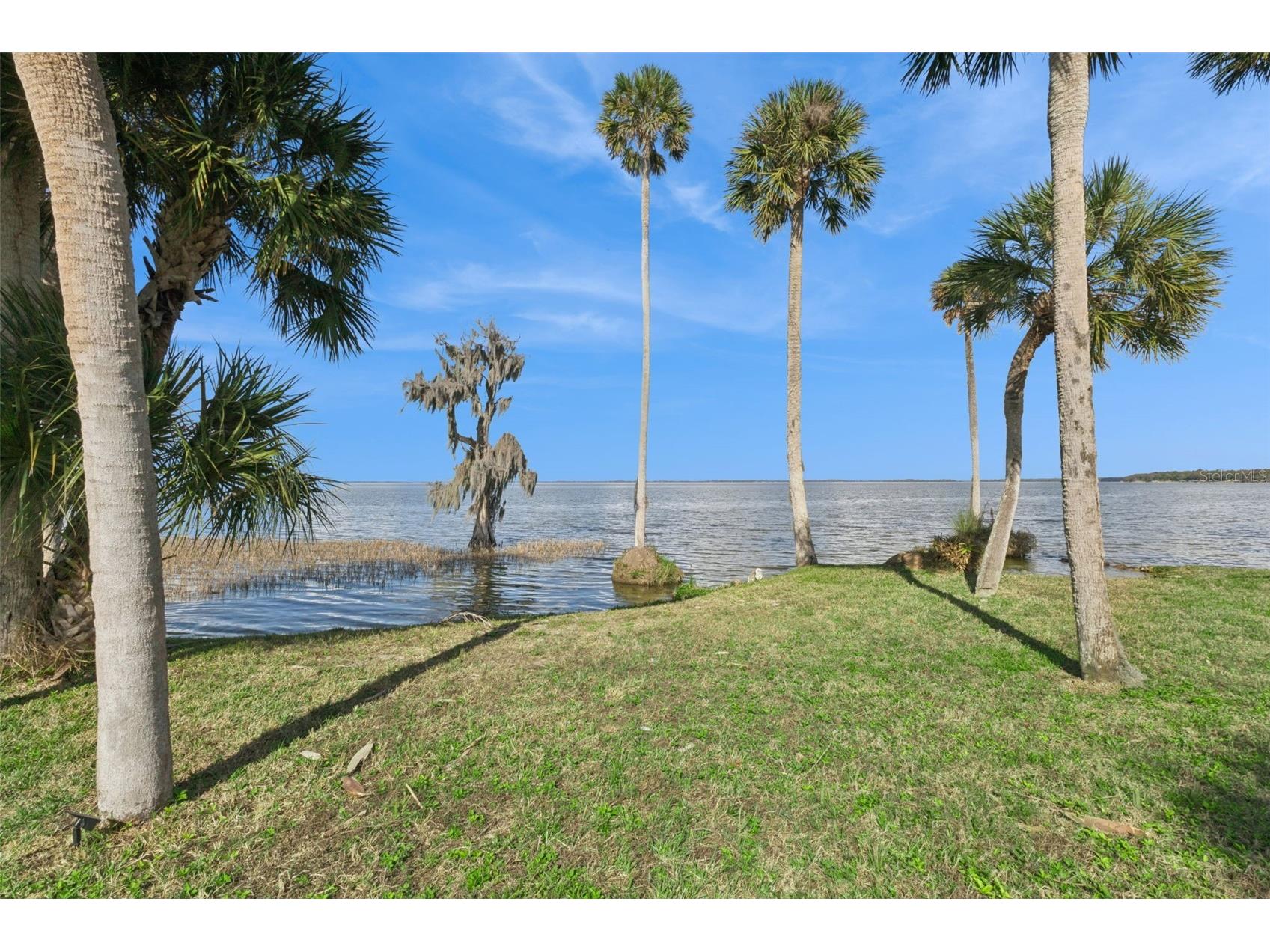 303 Waterwood Drive Yalaha FL 34797 - LAKE HARRIS O6389408 image61