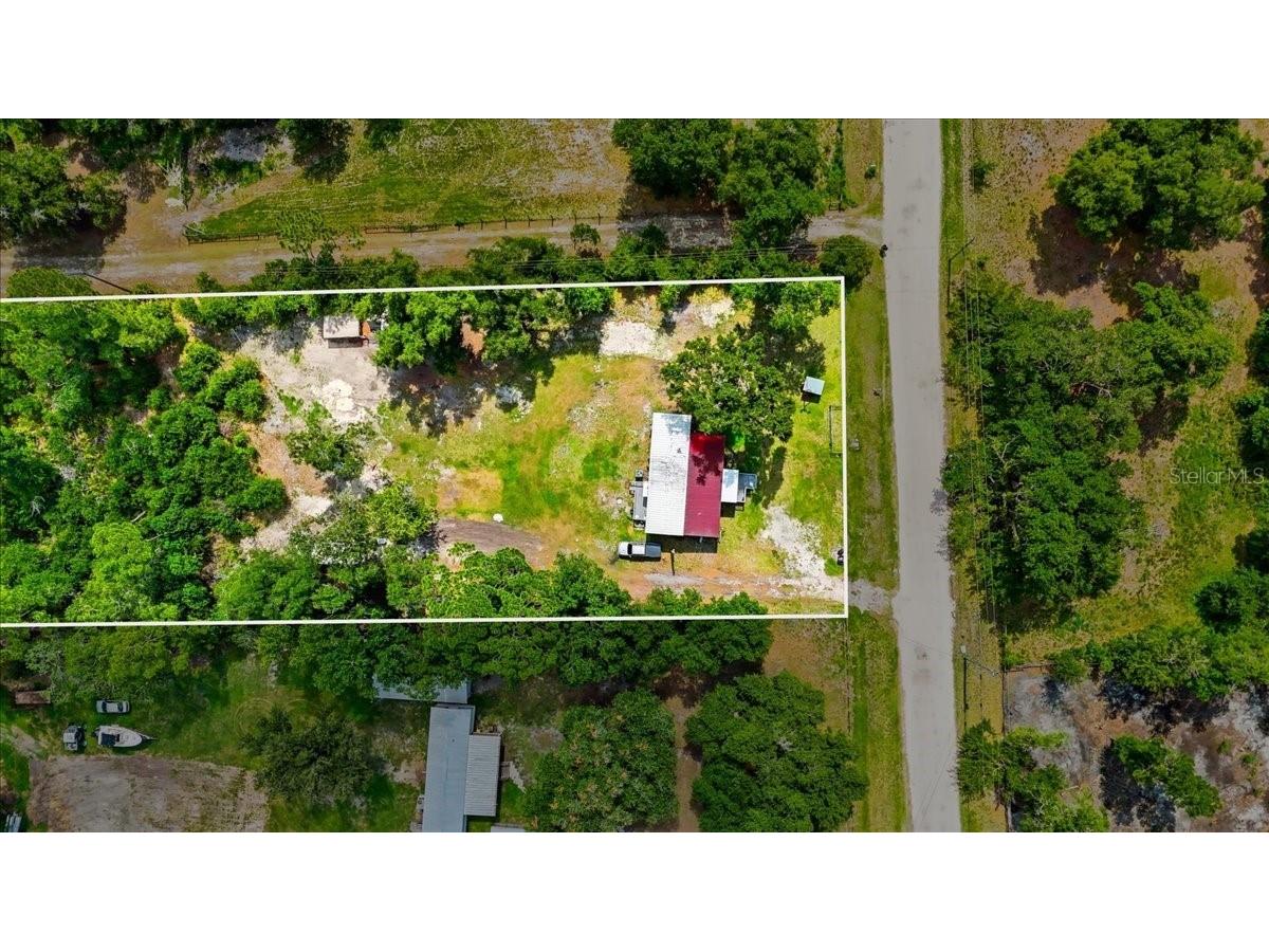 303 Wildlife Trail Lakeland FL 33809 L4962948 image12