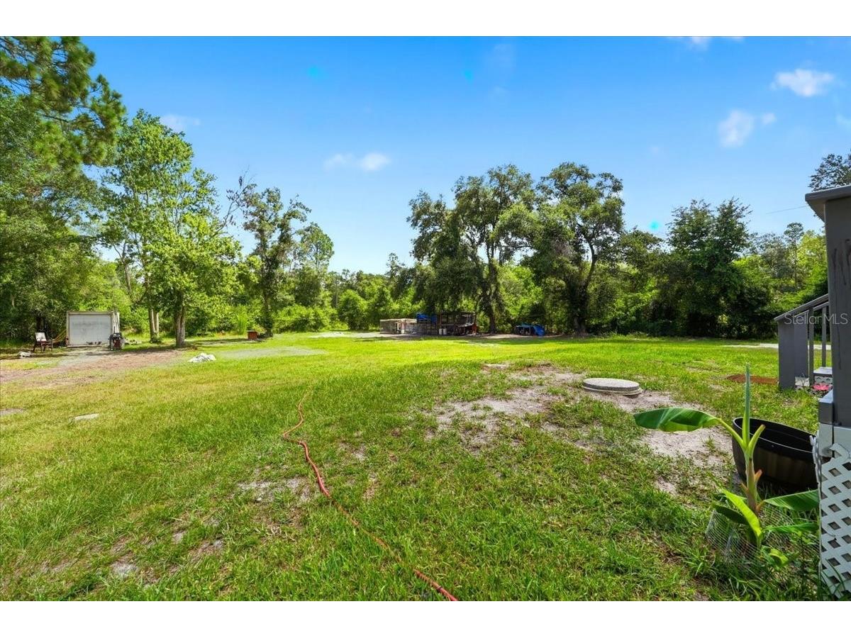 303 Wildlife Trail Lakeland FL 33809 L4962948 image46
